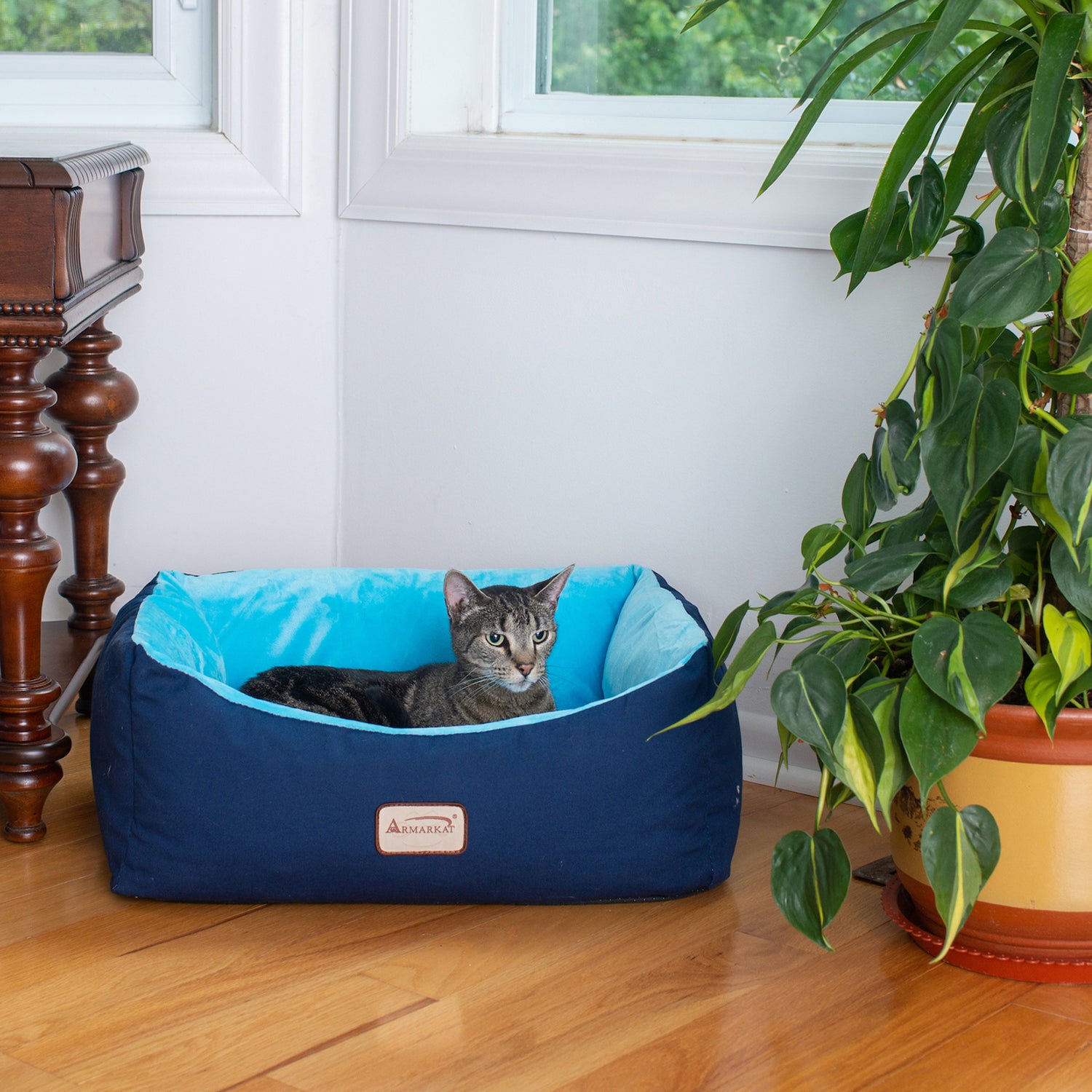 Armarkat Pet Cat Bed, Small Pet Bed, Navy Blue/Sky Blue, C09HSL/TL