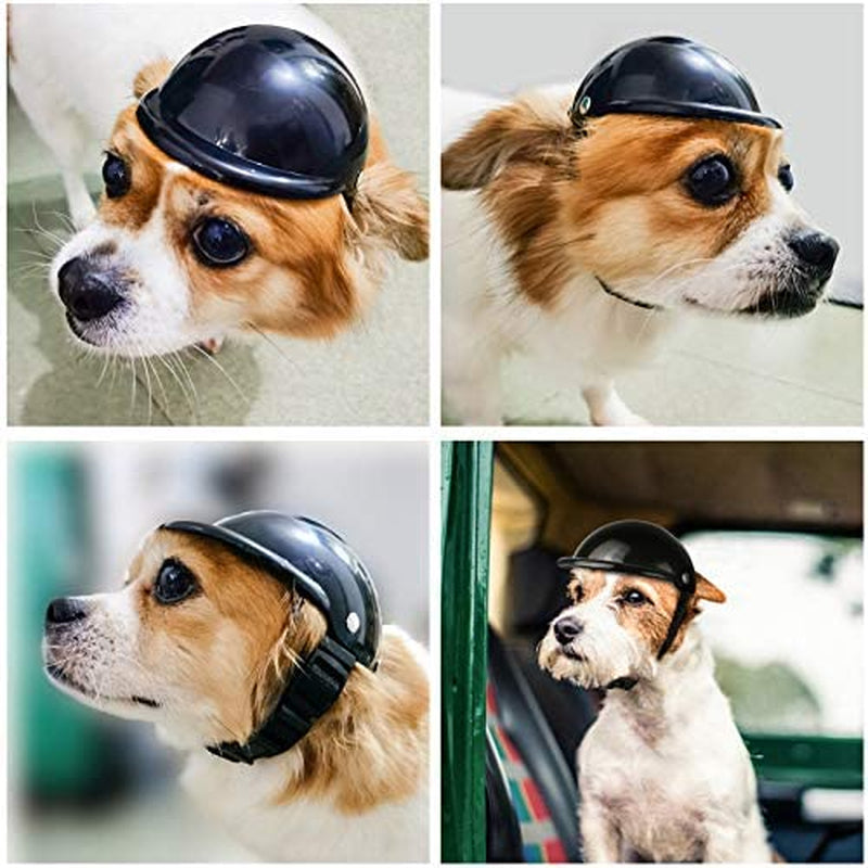 La La Pet® Pet Helmet with Dog Goggles Pet Doggie Cap Hat Dog Sunglasses Pet Eye Wear Cat UV Protection Sun Glasses for Puppy Dog Travel Skiing, Helmet S + Black Goggles Animals & Pet Supplies > Pet Supplies > Dog Supplies > Dog Apparel La La Pet   