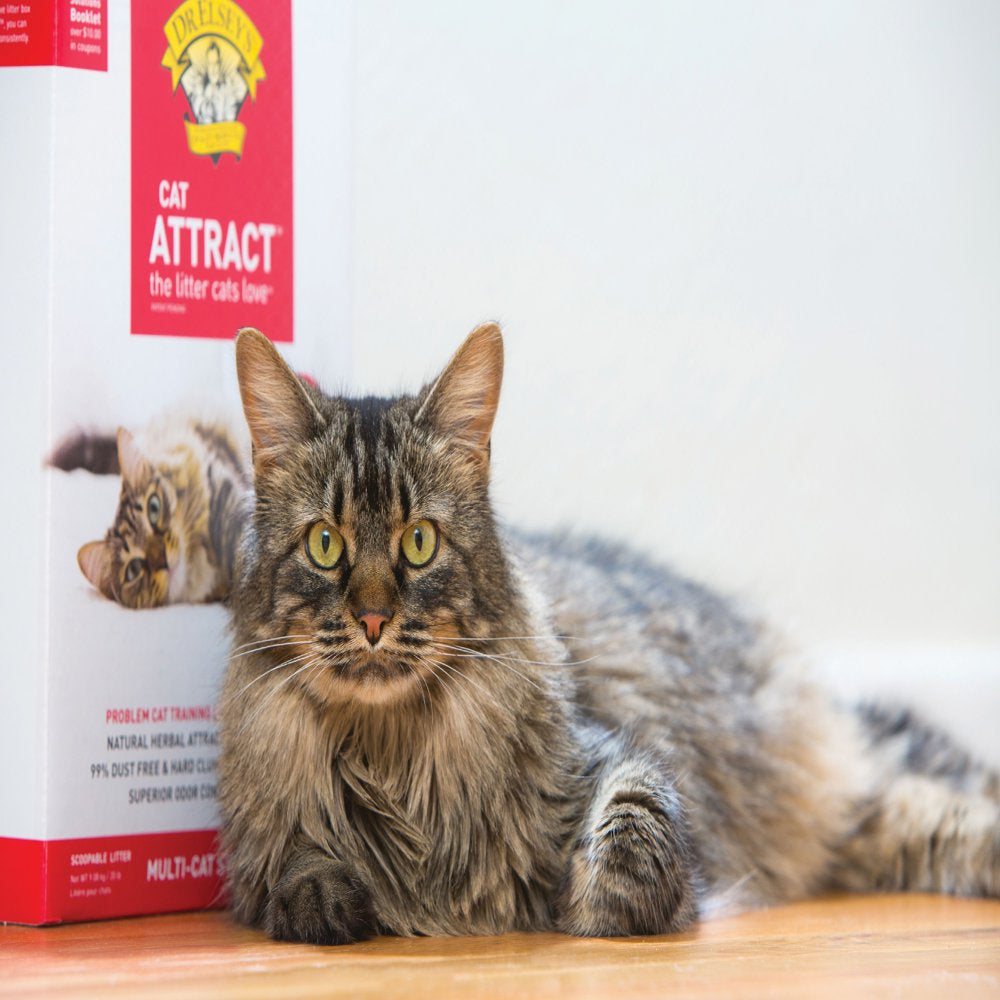 Dr. Elsey'S Precious Cat Attract Clumping Clay Cat Litter, 20 Lb. Box Animals & Pet Supplies > Pet Supplies > Cat Supplies > Cat Litter Precious Cat   