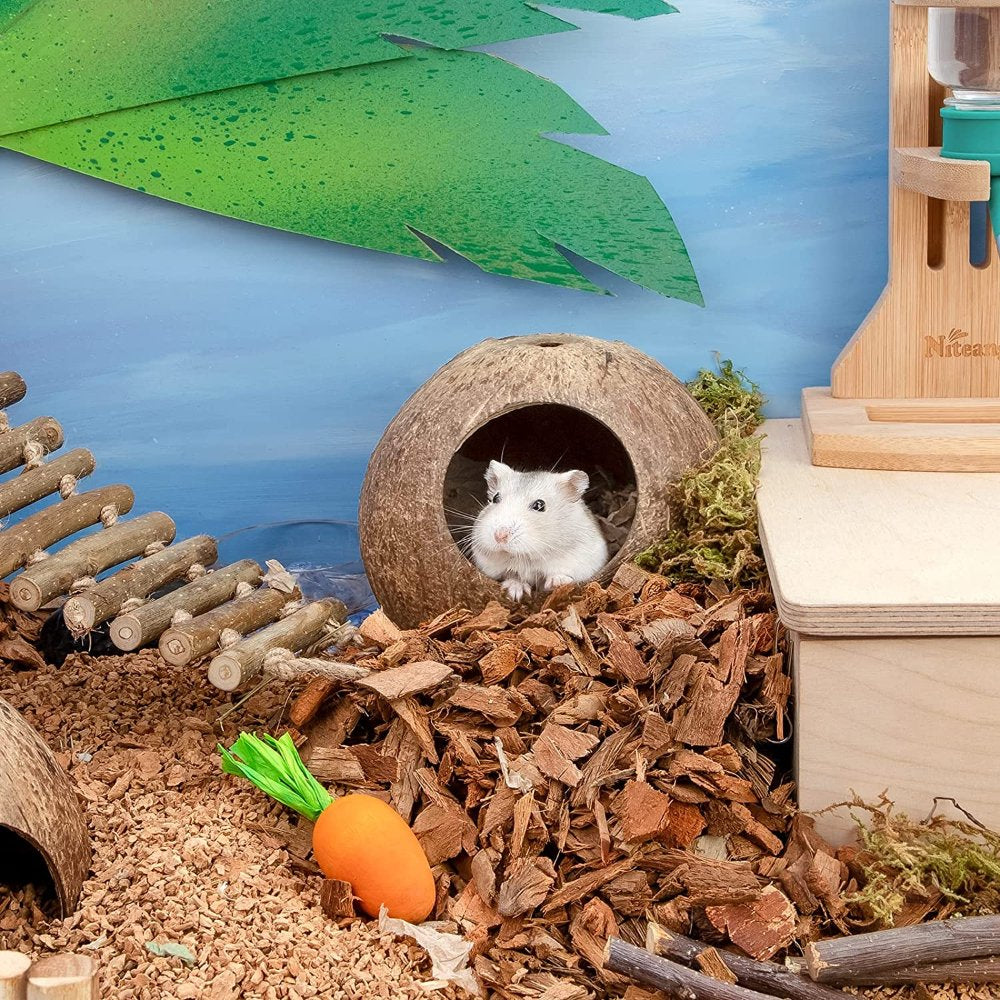 Coconut Hut Hamster House Bed for Gerbils Mice Small Animal Cage Habitat Décor Natural Coconut Shell House Cage Hamster Animals & Pet Supplies > Pet Supplies > Small Animal Supplies > Small Animal Habitats & Cages Suteng   