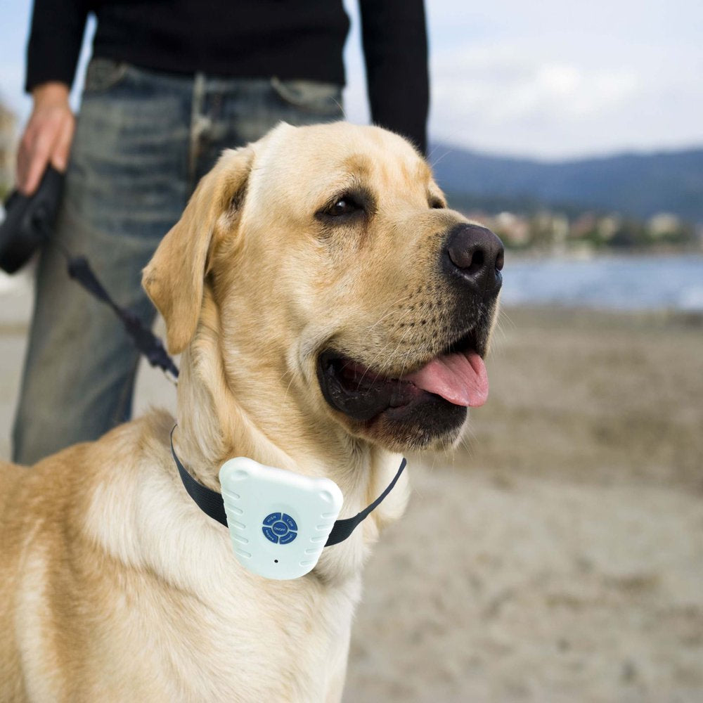 Pet Life ® Anti-Shock Ultrasonic Waterproof Safe Anti-Bark Training Dog Collar Animals & Pet Supplies > Pet Supplies > Dog Supplies > Dog Treadmills Pet Life   