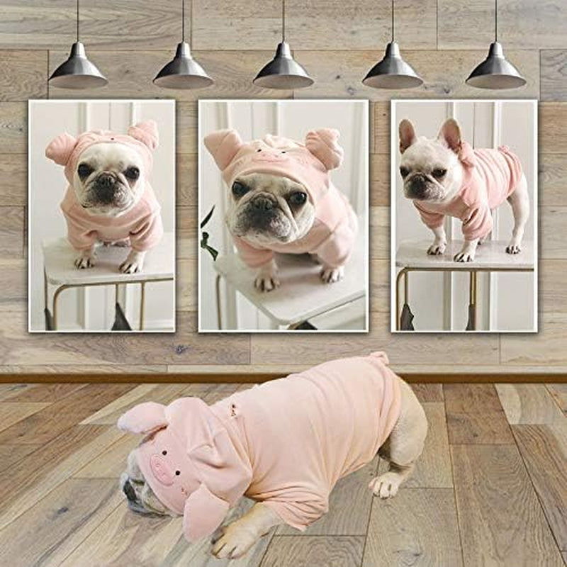 Dog Sweater, Pet Pig Pattern Sweatshirt for Small Dogs Cats, Puppy Hoodie Jacket for Spring, Winter & Autumn, French Bulldog Warm Apparel Outfits, Novel Design Cute Dog Vest Animals & Pet Supplies > Pet Supplies > Dog Supplies > Dog Apparel Zakynuye   