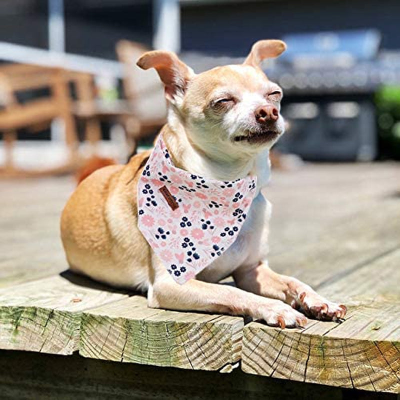 Elegant Little Tail Dog Bandana for Boy Girl Small Medium Large Dogs, Comfortable Dog Bibs Scarf, Adjustable Square Dog Kerchief Animals & Pet Supplies > Pet Supplies > Dog Supplies > Dog Apparel Elegant little tail   