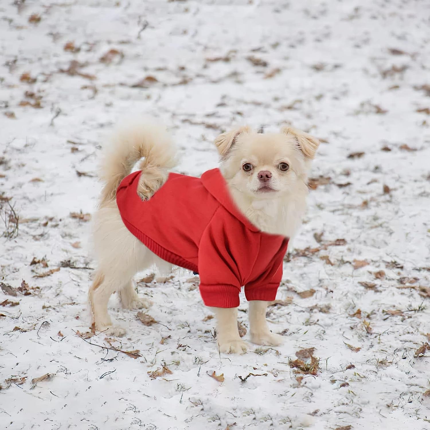 Chihuahua Sweaters for Dogs Puppy Hoodie with Pocket Tiny Dog Clothes Winter Fleece Warm Pet Doggie Sweatshirt for Small Girls Boys Yorkie Extra Small Dog Clothes XXS XS S, 2 Pieces (Xx-Small) Animals & Pet Supplies > Pet Supplies > Dog Supplies > Dog Apparel Sebaoyu   