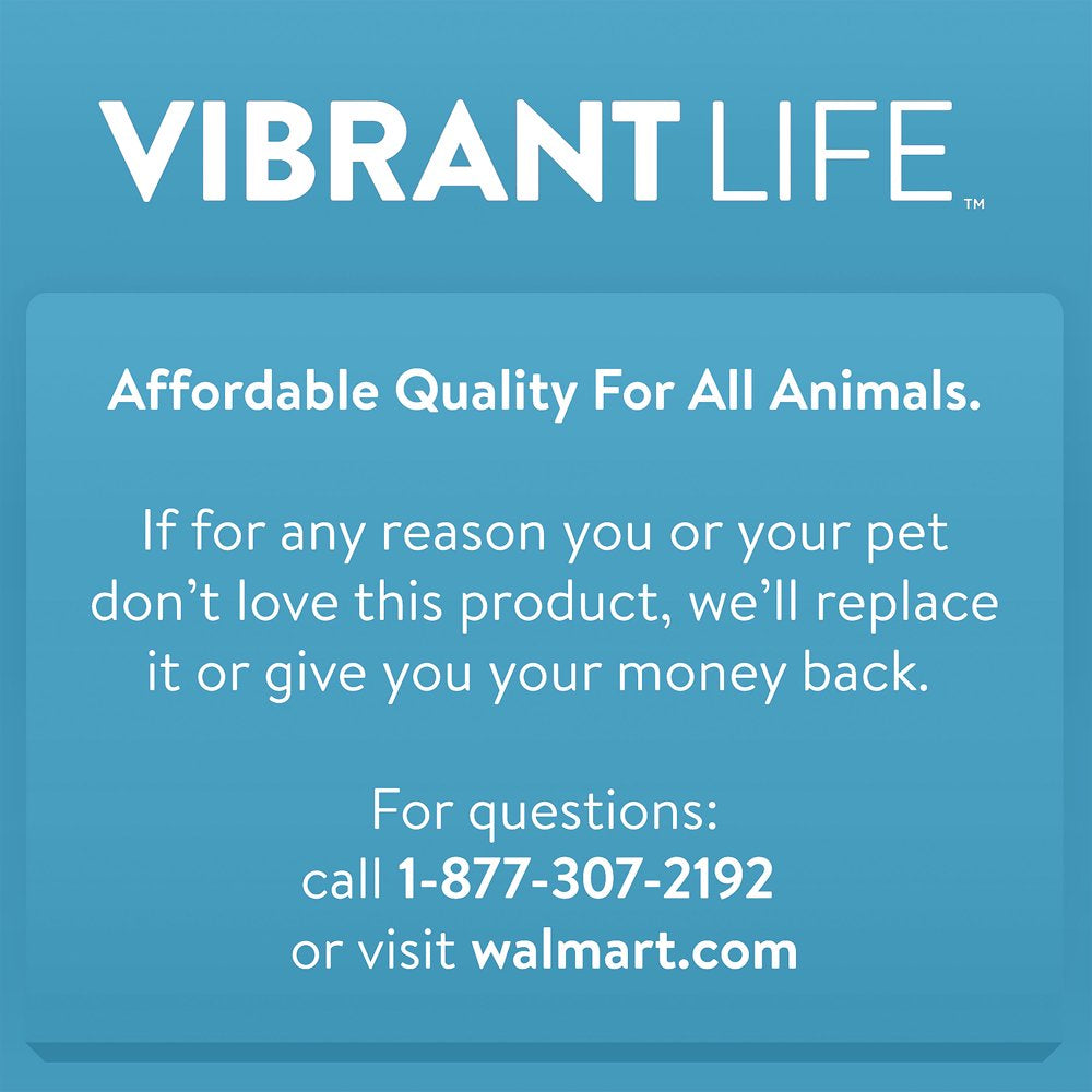 Vibrant Life Safe & Sustainable Cozy Buddy Elephant Dog Toy, Chew Level 2, Large
