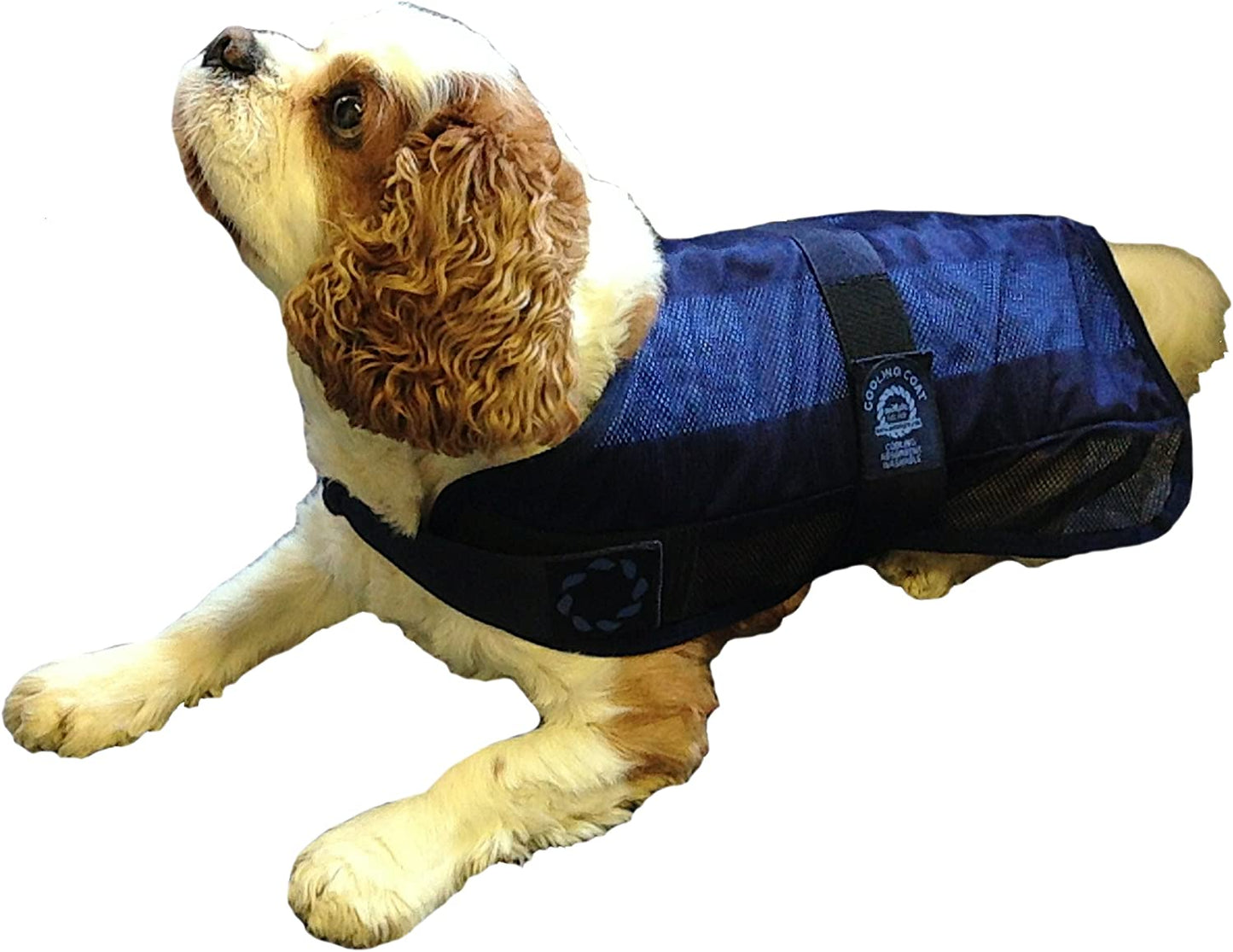 Animate Cooling Dog Coat and Bag, Medium, 16-Inch, Navy Animals & Pet Supplies > Pet Supplies > Dog Supplies > Dog Apparel The Animate Company Ltd   