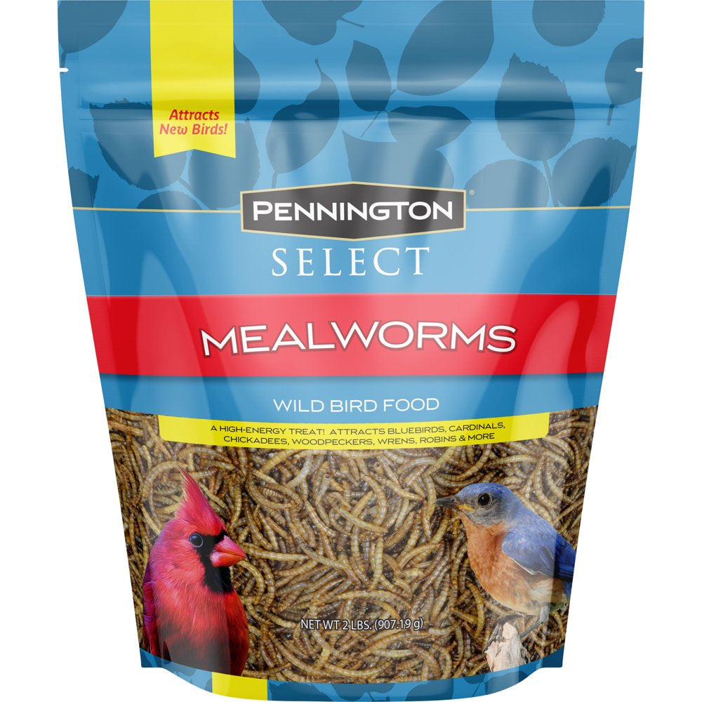Pennington Mealworms, Wild Bird Food, 17.6 Oz. Bag Animals & Pet Supplies > Pet Supplies > Bird Supplies > Bird Food Central Garden & Pet 2 lbs  