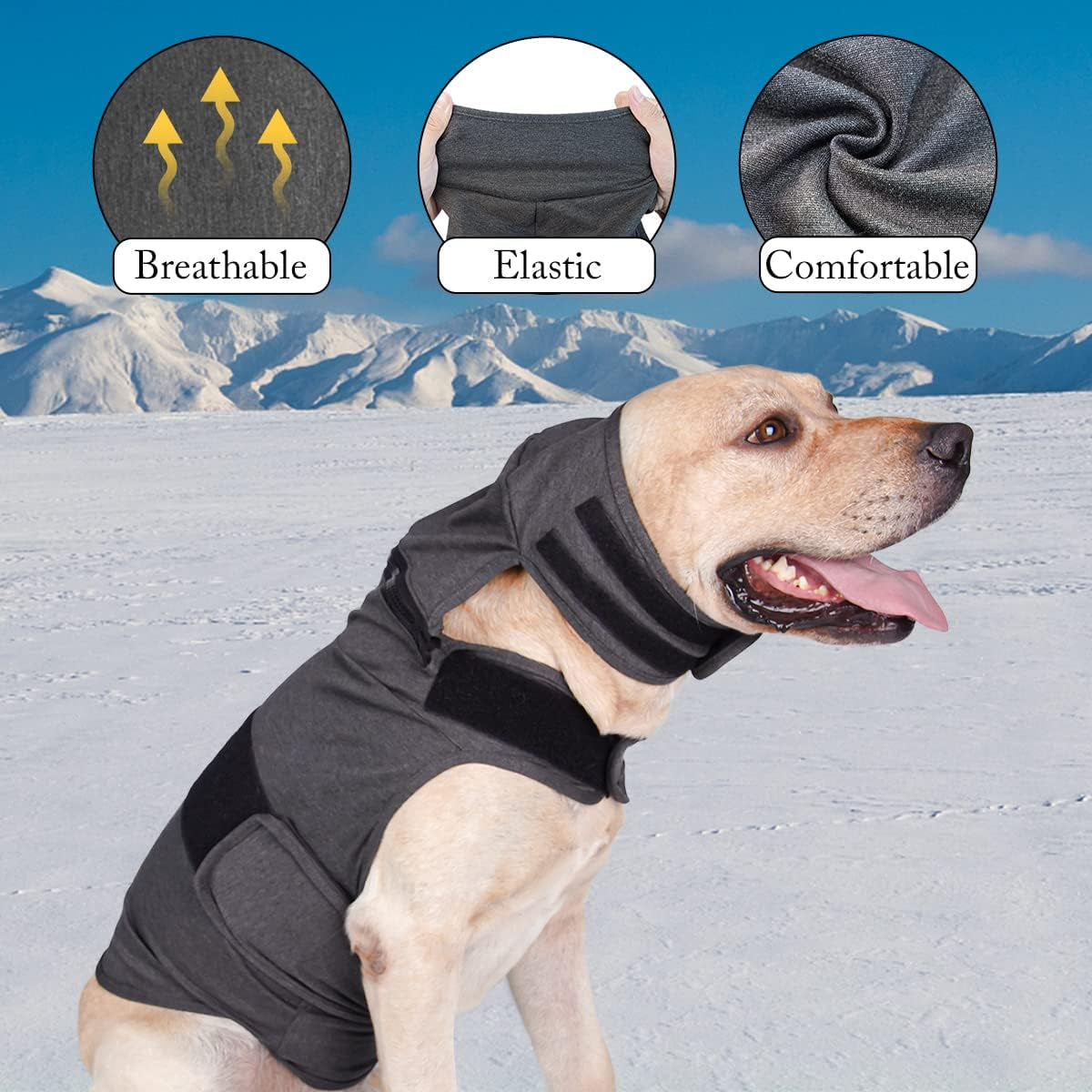 Dog Anxiety Jacket, Breathable Dog Anxiety Calming Hoodie with Detachable Hoods for Calming Pet, Puppy Calming Coat Vest for Anxiety Relief Noise Reduce Grooming Thunderstorm Animals & Pet Supplies > Pet Supplies > Dog Supplies > Dog Apparel In hand   