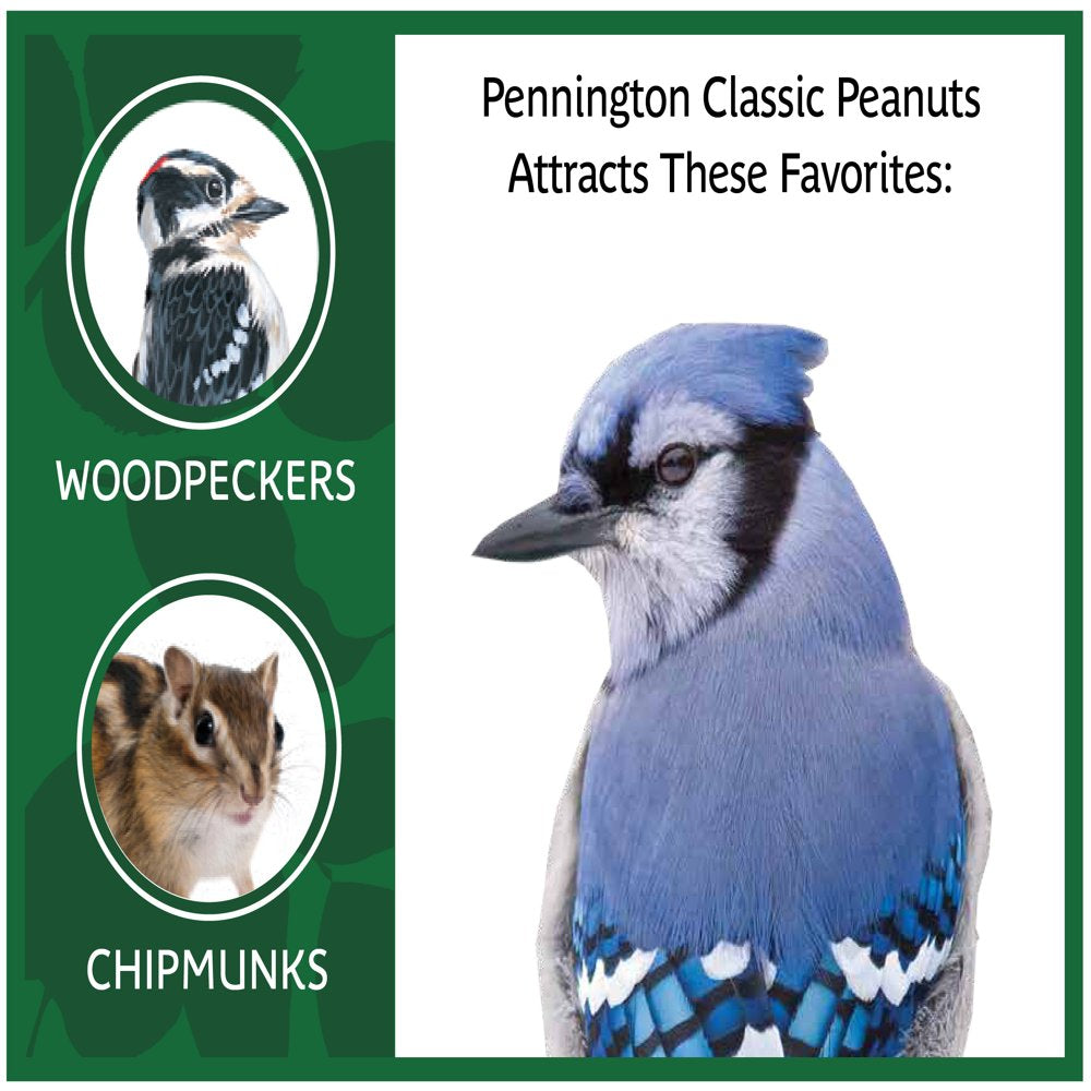 Pennington in Shell Peanuts Wildlife and Wild Bird Food, 5 Lb. Bag Animals & Pet Supplies > Pet Supplies > Bird Supplies > Bird Food CENTRAL GARDEN & PET COMPANY   