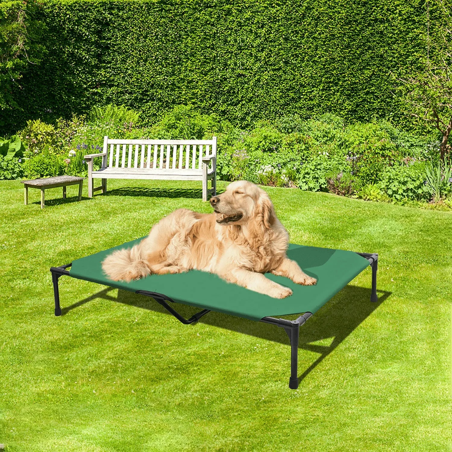 BABYLTRL Elevated Dog Bed Dog Cot with Mesh Center, Raised Dog Bed Pet Cot for Extra Large Medium Small Dogs, Multiple Sizes, No-Slip Feet, Indoor & Outdoor Use Animals & Pet Supplies > Pet Supplies > Dog Supplies > Dog Beds BABYLTRL   