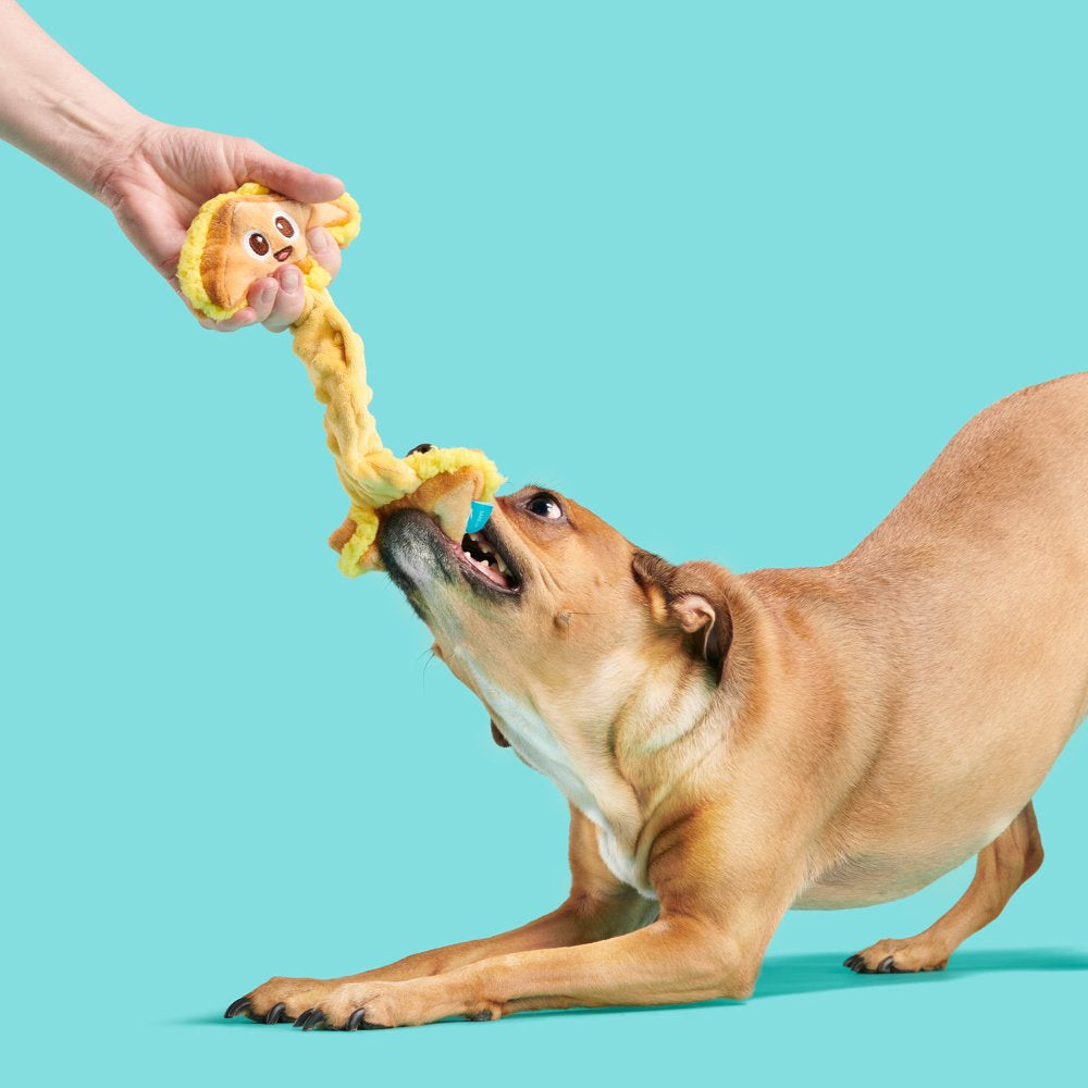 BARK Main Squeeze Cheese Dog Toy - Features Super Stretch Bungee, Xs to Medium Dogs Animals & Pet Supplies > Pet Supplies > Dog Supplies > Dog Toys BARK   