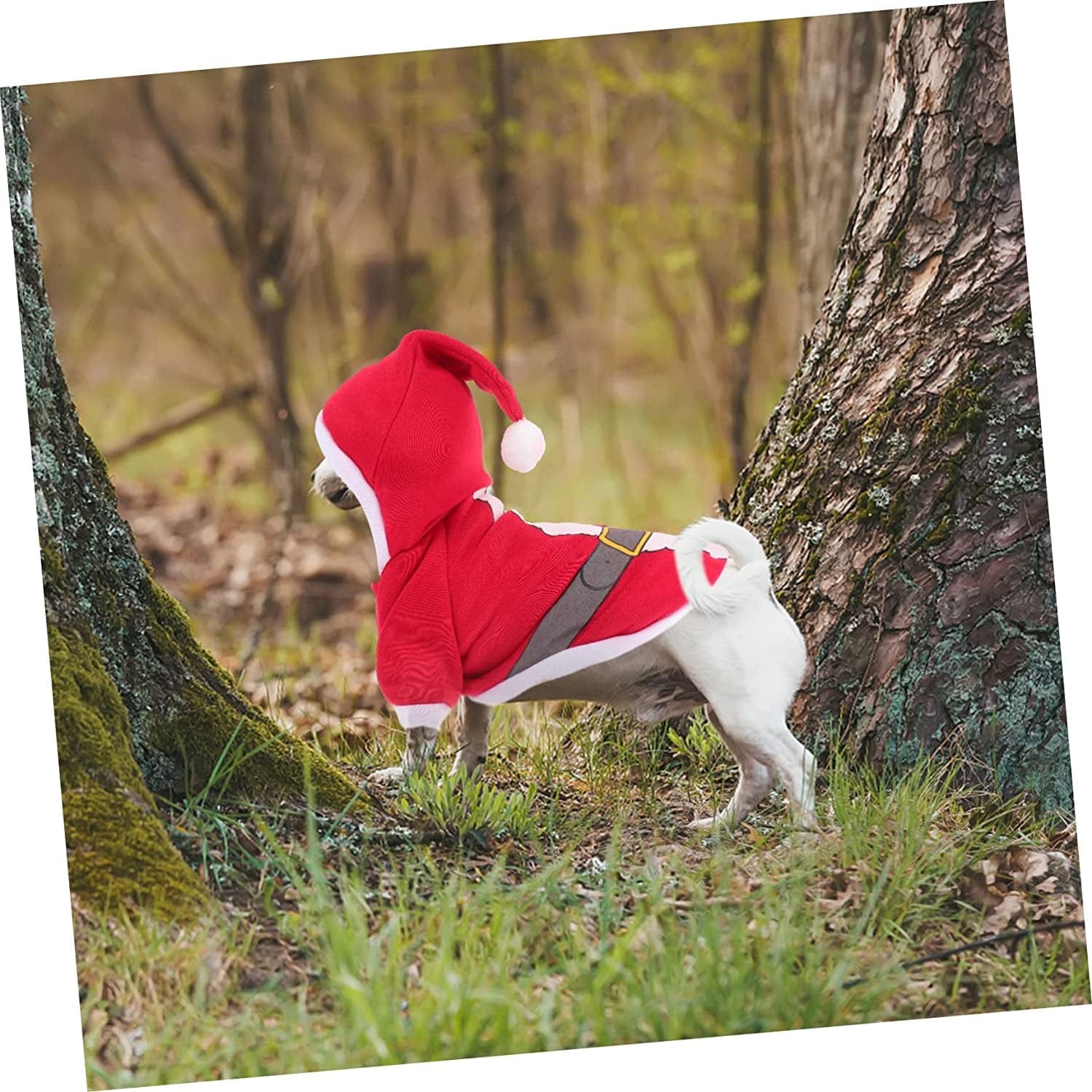 Balacoo 1Pc Cat Jacket Vest Kitten Christmas Warm Photo Winter Cosplay Dress Pet Apparel Festival Large Outfits Dogs Santa M Dog Cats up Red Party Cold-Proof Clothing Windproof Coat Animals & Pet Supplies > Pet Supplies > Dog Supplies > Dog Apparel Balacoo   