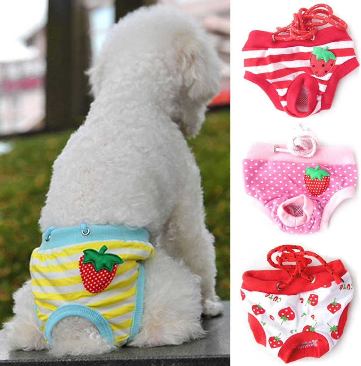 Balacoo with Shorts for Diaper Panties Pet, Male Cotton Dot
