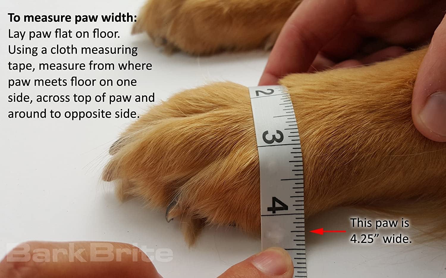 Bark Brite New Lightweight Neoprene Paw Protector Dog Boots Designed for Comfort and Breathability in 5 Sizes (XXL) Animals & Pet Supplies > Pet Supplies > Dog Supplies > Dog Apparel Bark Brite   