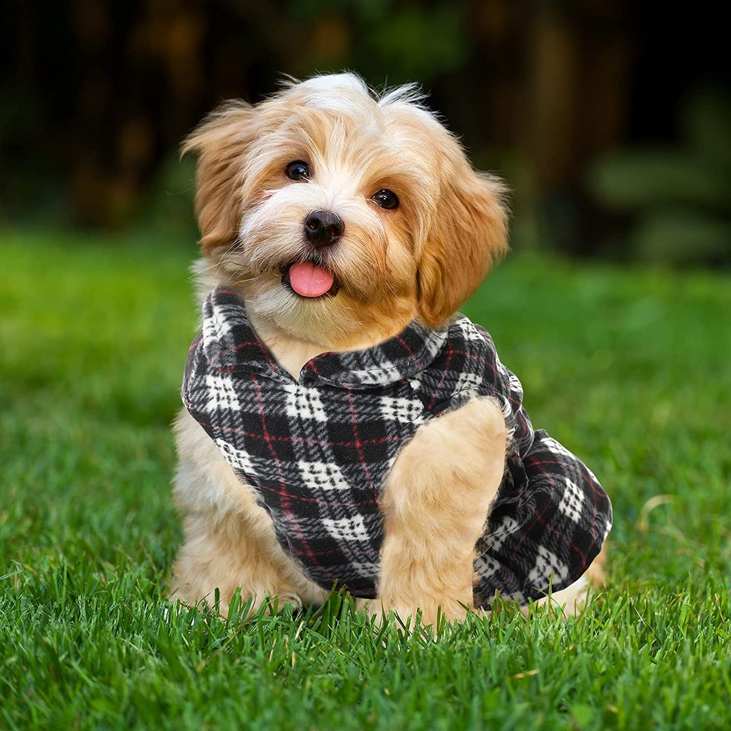 4 Pieces Winter Fabric Dog Sweater with Leash Ring Fleece Vest Dog Pullover Jacket Warm Pet Dog Clothes for Puppy Small Dogs Cat Chihuahua Boy (Plaid Pattern, XS) Animals & Pet Supplies > Pet Supplies > Dog Supplies > Dog Apparel Weewooday   