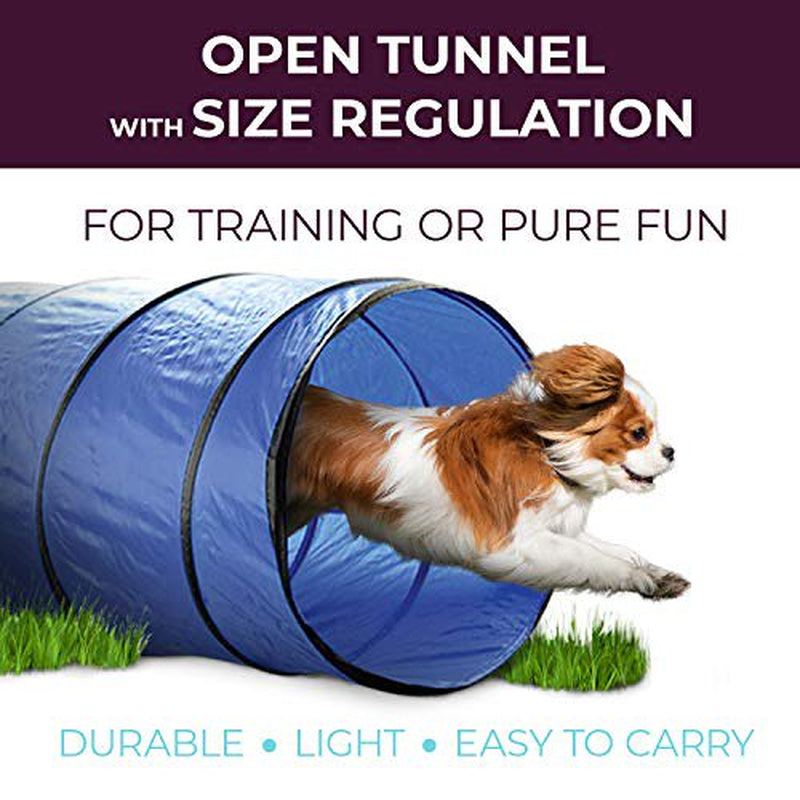 Dog Agility Training Equipment, Complete Set, Dog Tunnel, Jump, Hurdle, Hoop, Weave Poles Dog Obstacle Course, Backyard, Indoor, Outdoor Animals & Pet Supplies > Pet Supplies > Dog Supplies > Dog Treadmills Cheering Pet   