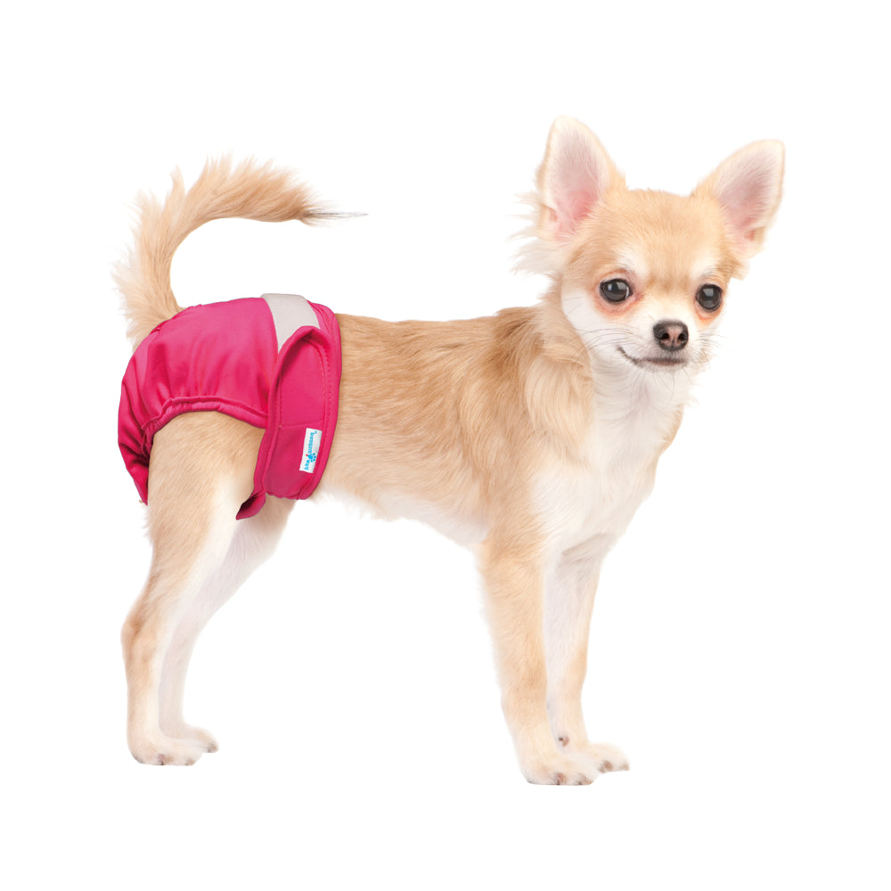 Paw Inspired 3Ct Washable Female Dog Diapers, Doggie Doggy Diapers, Puppy Diapers for Female Dog Heat | Reusable Pet Diapers for Female Dogs, Cat Diapers (Assorted (White Lining), X-Small) Animals & Pet Supplies > Pet Supplies > Dog Supplies > Dog Diaper Pads & Liners Paw Inspired   