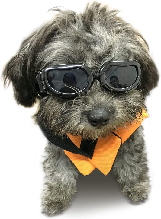 Enjoying Dog Sunglasses Small Breed Dogs Goggles UV Protection Eye Wear Windproof Anti-Fog Pet Glasses for Doggy about over 5 Lbs, Black Animals & Pet Supplies > Pet Supplies > Dog Supplies > Dog Apparel Enjoying Black  