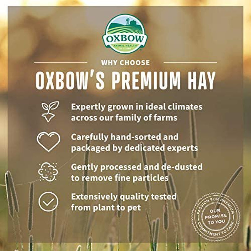 Oxbow Animal Health Orchard Grass Hay - All Natural Grass Hay for Chinchillas, Rabbits, Guinea Pigs, Hamsters & Gerbils - 15 Oz. Animals & Pet Supplies > Pet Supplies > Small Animal Supplies > Small Animal Food Rehoboth Tradings LLC   