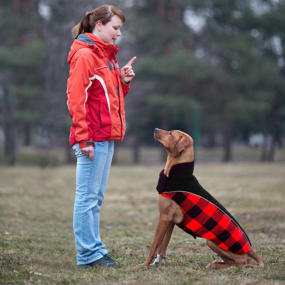 Kuoser Reversible Dog Winter Coat, Reflective Waterproof Dog Jacket, Cotton Lined Vest Windproof Outdoor for Small Medium and Large Dogs Animals & Pet Supplies > Pet Supplies > Dog Supplies > Dog Apparel Kuoser   