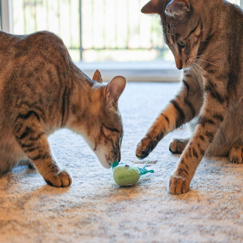 Vibrant Life Sparkle Fish Cat Toy, 2 Pack Animals & Pet Supplies > Pet Supplies > Cat Supplies > Cat Toys Vibrant Life   