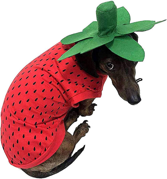 Midlee Strawberry Dog Costume (Xx-Large) Animals & Pet Supplies > Pet Supplies > Dog Supplies > Dog Apparel Midlee Large  