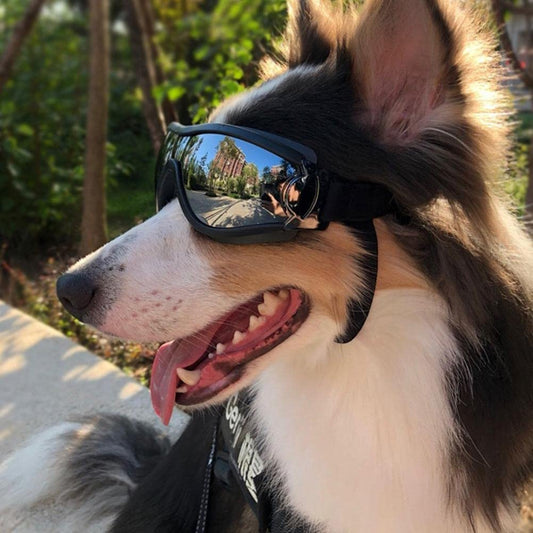 FOKEN Pet Goggles Dog Goggles Waterproof Windproof Dog Sunglasses with Adjustable Strap Anti-Uv Eye Protection for Dogs Silver Medium Animals & Pet Supplies > Pet Supplies > Dog Supplies > Dog Apparel FOKEN   