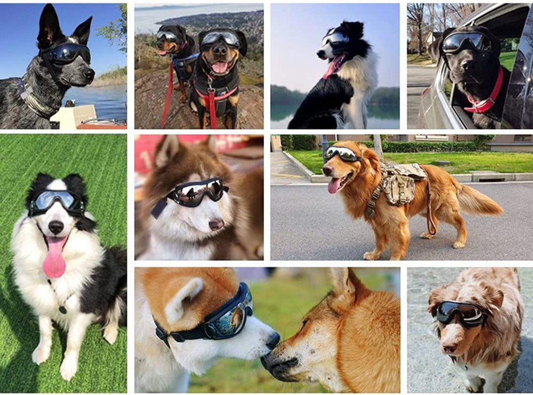 Rayshen Dog Goggles Dog Sunglasses UV Protection, Windproof, Dustproof, Anti-Fog Adjustable Straps for Travel Skiing and Anti-Fog Suitable for Medium and Large Dogs, Black Animals & Pet Supplies > Pet Supplies > Dog Supplies > Dog Apparel YZD   