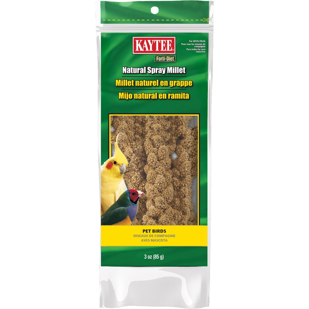 Kaytee Forti-Diet Spray Millet, 3 Oz, Treat for Pet Birds Animals & Pet Supplies > Pet Supplies > Small Animal Supplies > Small Animal Food Central Garden and Pet   