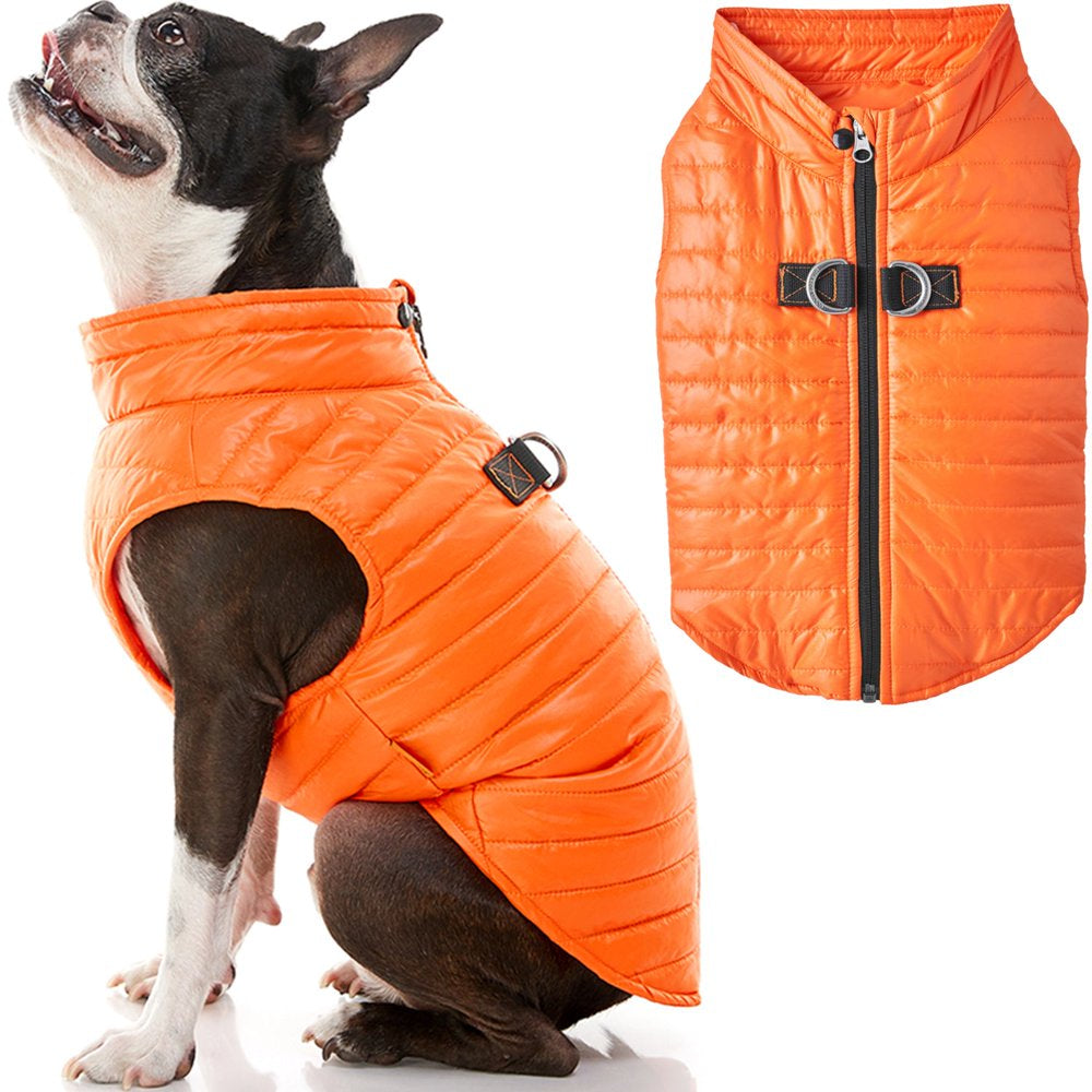 Gooby Puffer Vest Dog Jacket - Blue, Large - Ultra Thin Zip up Wind Breaker with Dual D Ring Leash Water Resistant Small Dog Sweater Animals & Pet Supplies > Pet Supplies > Dog Supplies > Dog Apparel Gooby Large Chest (~20.75") Orange 
