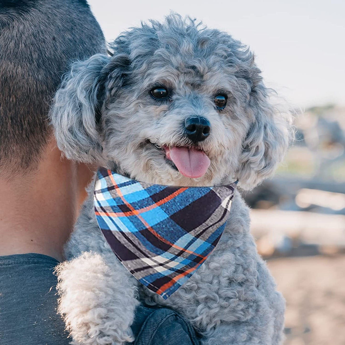 Segarty Dog Bandanas, 30 Pack 22.8"X15.7" Pet Scarf Triangle Plaid Bibs Accessories Bulk for Medium Small Dogs Cats Large Puppy Dogs, Washable Adjustable Reversible Boy Pets Birthday Kerchief Animals & Pet Supplies > Pet Supplies > Dog Supplies > Dog Apparel Segarty   