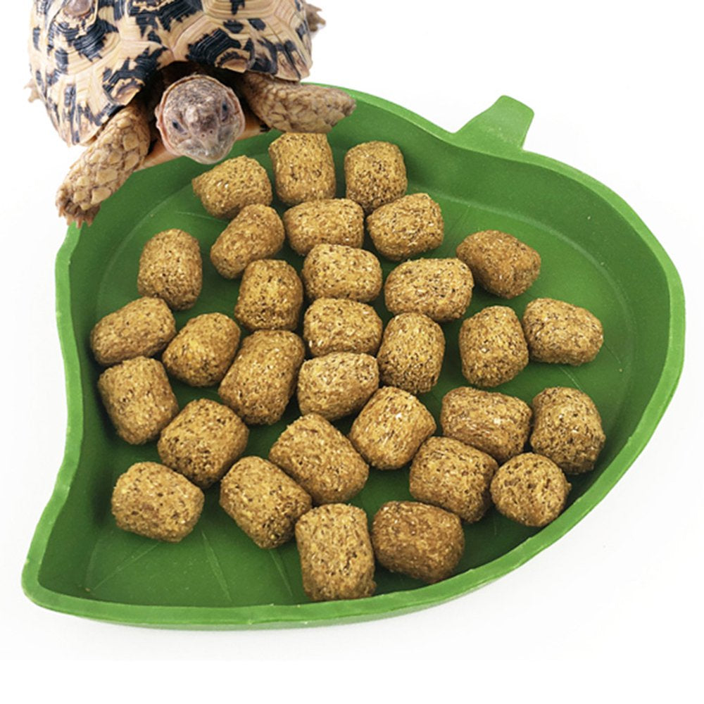 Amphibians Reptiles Feeder Plastic Reptile Terrarium Feeding Basin Tortoise Crawler Bowl Basin Water Fountain for Turtles Green 1.2*9.5*12Cm Animals & Pet Supplies > Pet Supplies > Reptile & Amphibian Supplies > Reptile & Amphibian Food Robot-GxG   