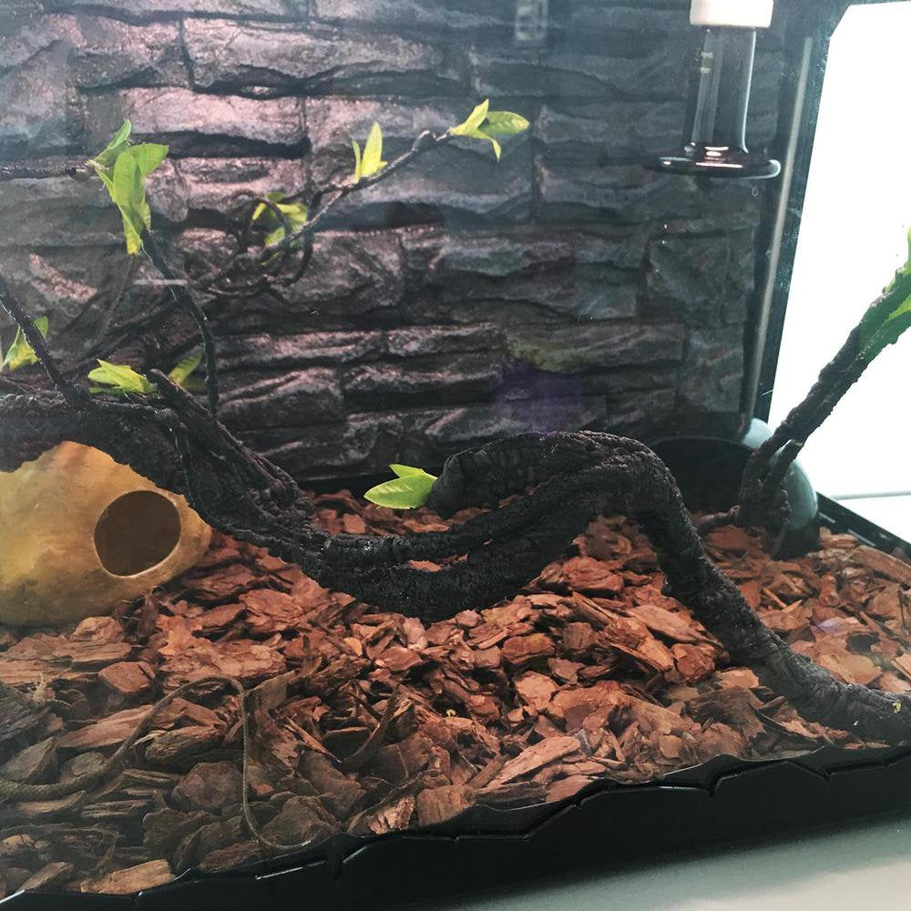 Catinbow Reptile Climbing Vines Plastics Jungle Vines Branches Habitat Terrarium Plant Decoration Accessories for Climbing Lizard Bearded Dragon Chameleon Lizards Snakes 2 Styles Dependable Animals & Pet Supplies > Pet Supplies > Small Animal Supplies > Small Animal Habitat Accessories Catinbow   