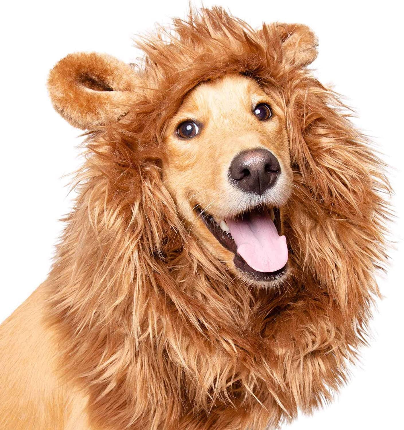 Pet Krewe Dog Lion Mane Halloween Costume Lion Mane for Large and Small Dogs – Ideal for Halloween, Dog Birthday, Dog Cosplay, Dog Outfits, Pet Clothes Animals & Pet Supplies > Pet Supplies > Dog Supplies > Dog Apparel Pet Krewe   