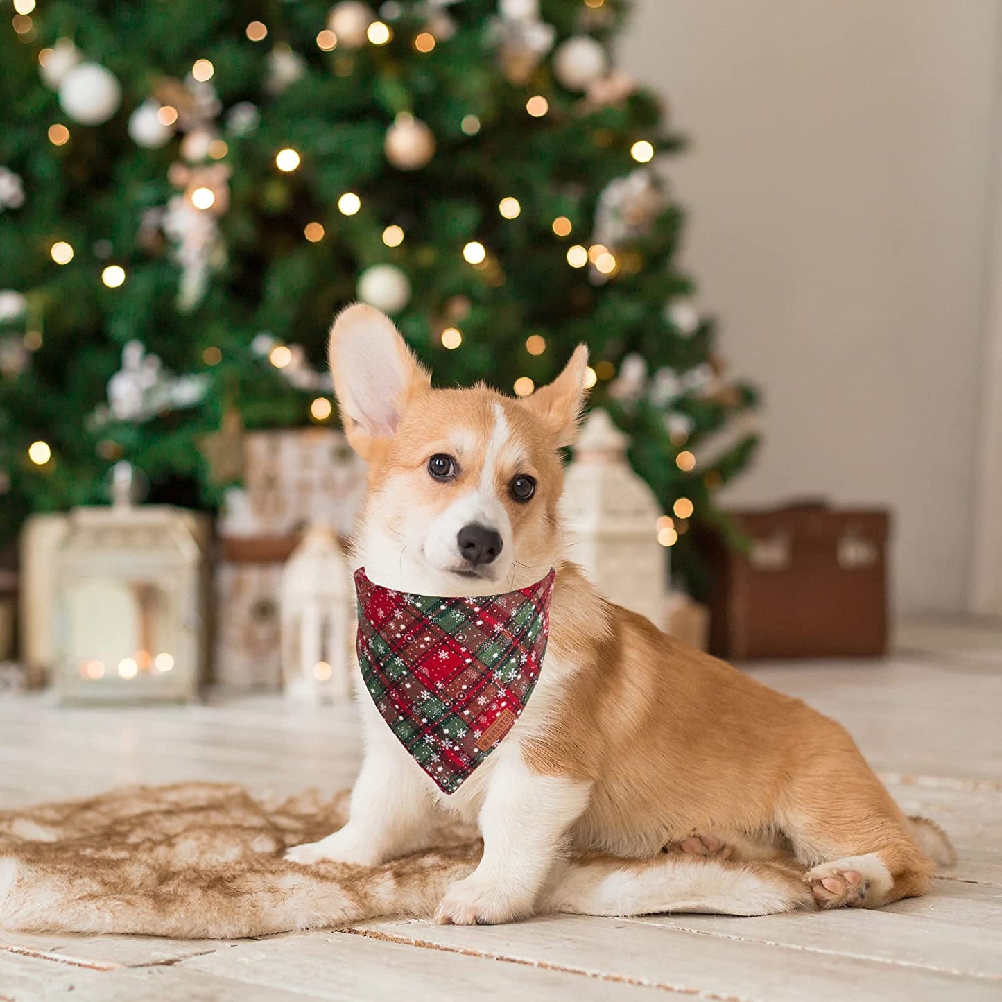 Adoggygo 2 Pack Dog Bandanas Christmas, Stylish Plaid Snowflake Dog Scarf, Premium Durable Fabric, Multiple Sizes Offered, Christmas Bandanas for Medium Large Dogs Pets (Large, Red) Animals & Pet Supplies > Pet Supplies > Dog Supplies > Dog Apparel ADOGGYGO   