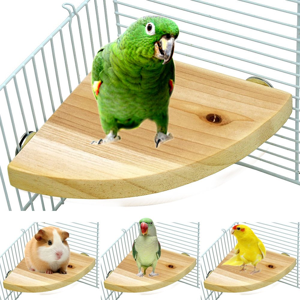 Bird Perch Platform, Parrot Stand Sector Playground Wood Perch Stand Toy Cage Accessories Exercise Toy for Parakeet Conure Cockatiel Budgie Gerbil Rat Mouse Chinchilla Hamster Animals & Pet Supplies > Pet Supplies > Bird Supplies > Bird Cage Accessories PS20220428 17*17CM  