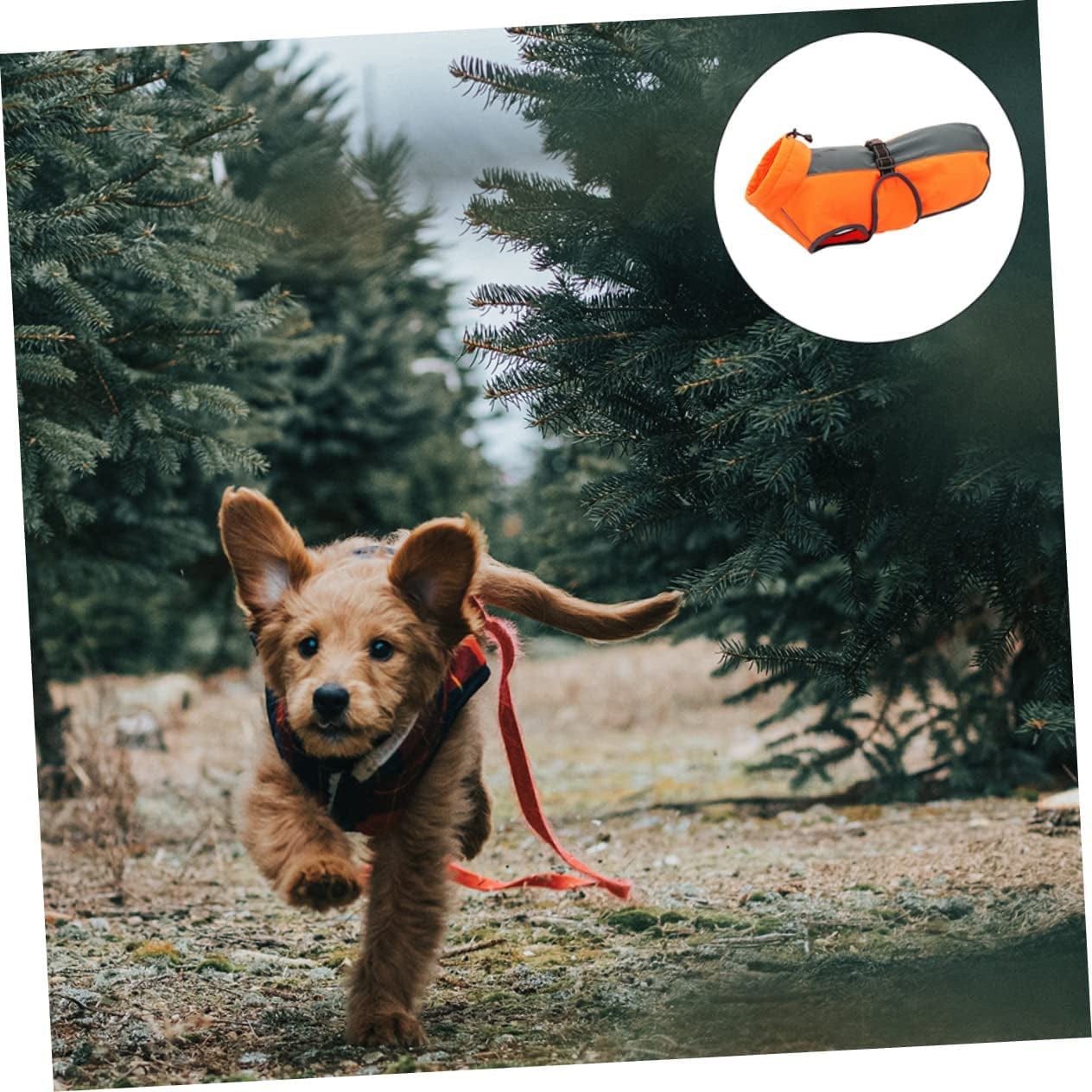 BCOATH 1Pc Pet Jacket Dog Warm Jacket Dogs Vest Clothes Fleece Pet Clothes Pet Warm Clothing Puppy Reflective Vest Dogs Autumn Raincoat Autumn and Winter Plush Dog Orange Polyester Animals & Pet Supplies > Pet Supplies > Dog Supplies > Dog Apparel BCOATH   