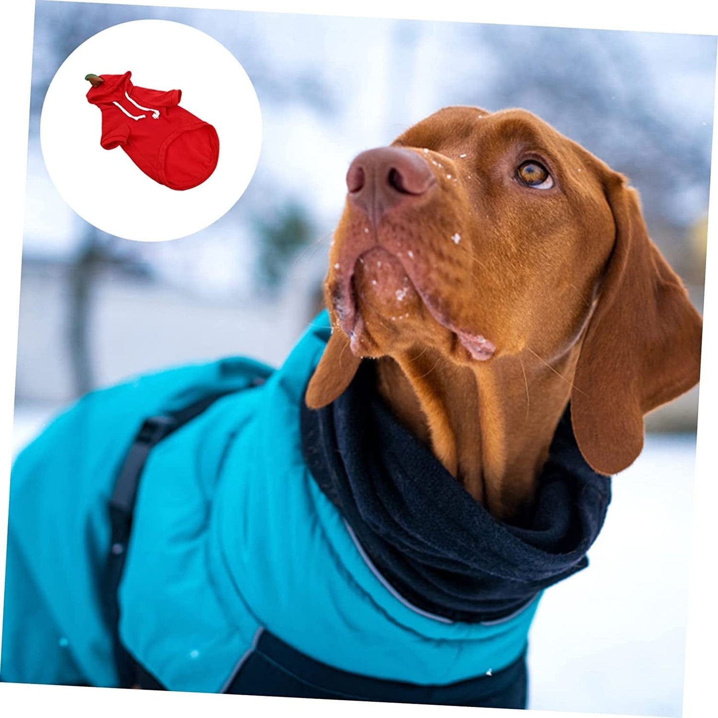 BCOATH 1Pc Pet Transformation Costume Red Sweaters Thermal Hoodie Knit Sweater Holiday Cat Apparel Puppy Polyester Hoodie Red Vest Polyester Pet Sweater for Dogs Small Animals & Pet Supplies > Pet Supplies > Dog Supplies > Dog Apparel BCOATH   