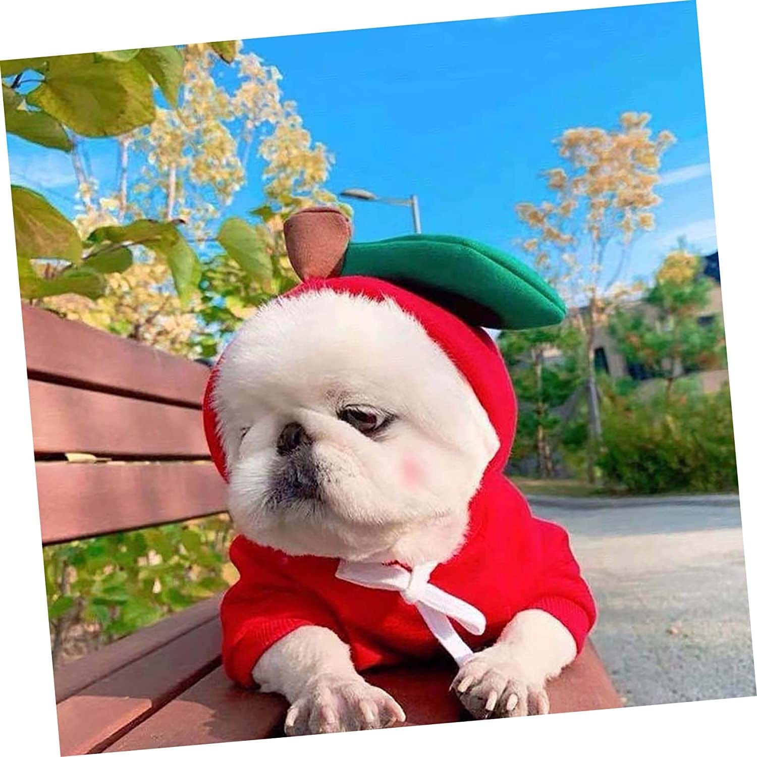 BCOATH 1Pc Pet Transformation Costume Red Sweaters Thermal Hoodie Knit Sweater Holiday Cat Apparel Puppy Polyester Hoodie Red Vest Polyester Pet Sweater for Dogs Small Animals & Pet Supplies > Pet Supplies > Dog Supplies > Dog Apparel BCOATH   