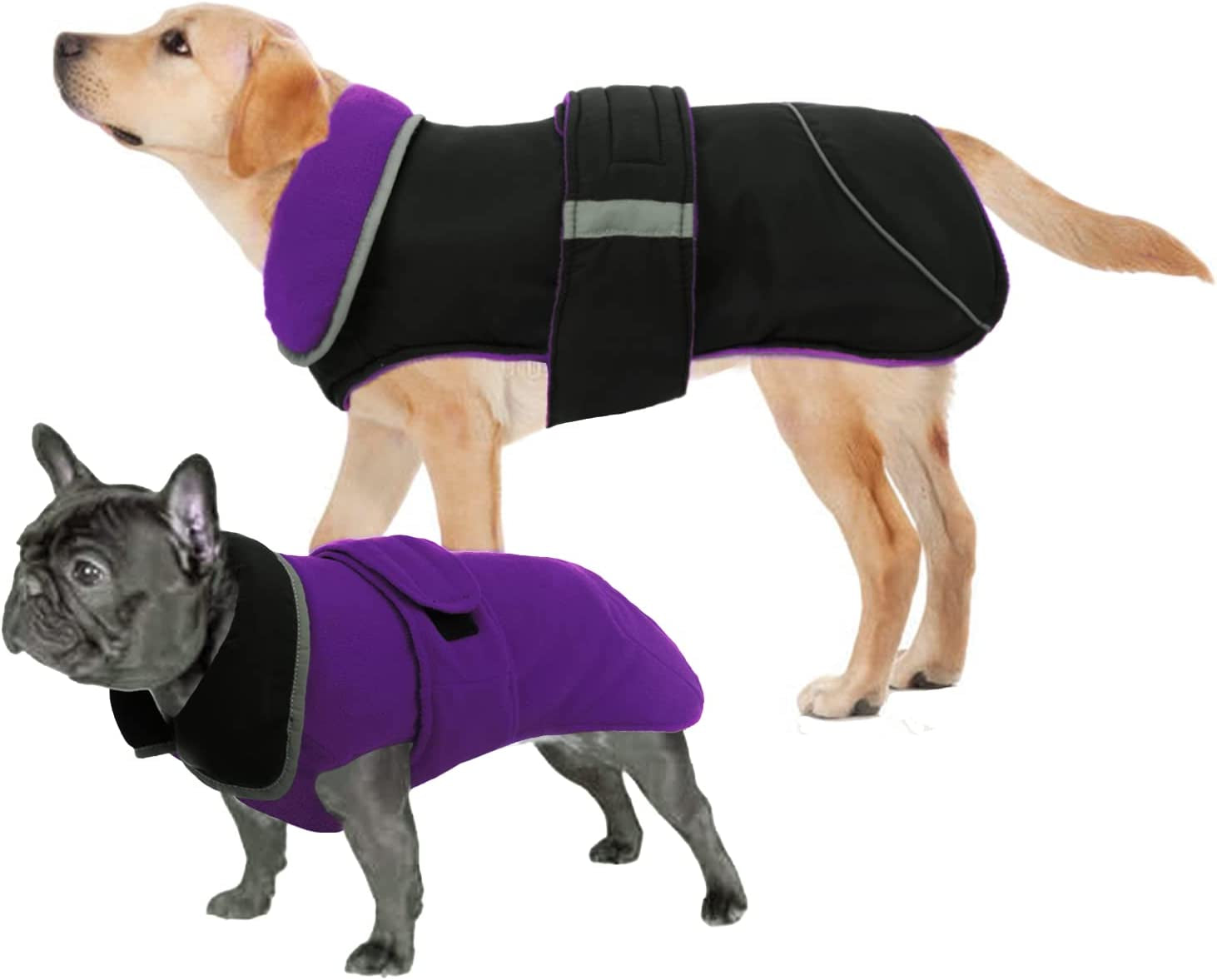 LETSQK Dog Coat, Waterproof and Windproof Dog Jacket, Reflective Safety Dog Vest, Thick Padded Warm Comfortable for Small, Medium & Large Dogs Indoor and Outdoor Use, Purplr, 2XL Animals & Pet Supplies > Pet Supplies > Dog Supplies > Dog Apparel LETSQK Purple XXX-Large 