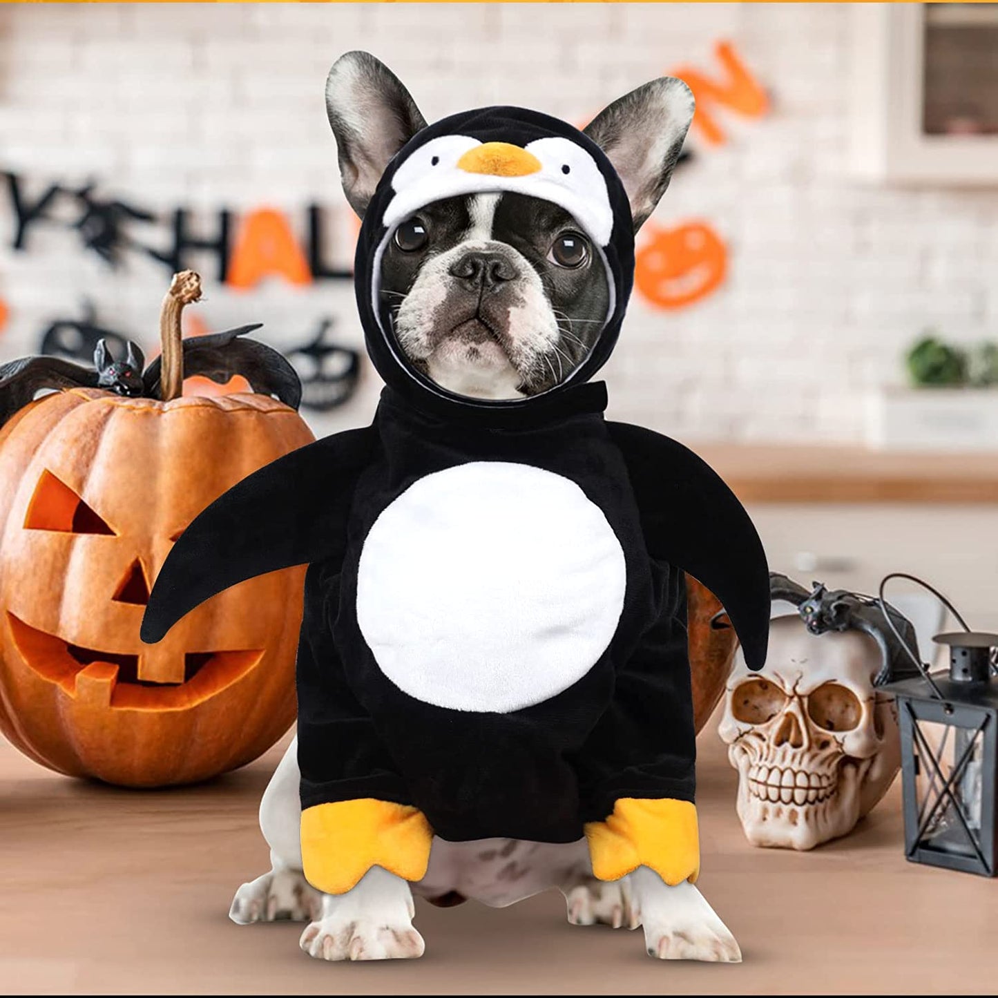 Cyeollo Dog Costume Cute Penguin Dog Cosplay Puppy Funny Halloween Costumes Party Special Clothes for Small Dogs Animals & Pet Supplies > Pet Supplies > Dog Supplies > Dog Apparel cyeollo   