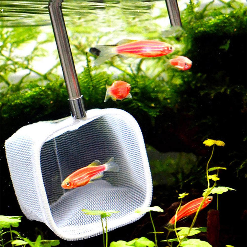 Shrimp Skimming Net, Metal Extendable Shrimp Skimming Net, Fish Tank Aquarium Pond for Shrimp for Fish Animals & Pet Supplies > Pet Supplies > Fish Supplies > Aquarium Fish Nets LYUMO   