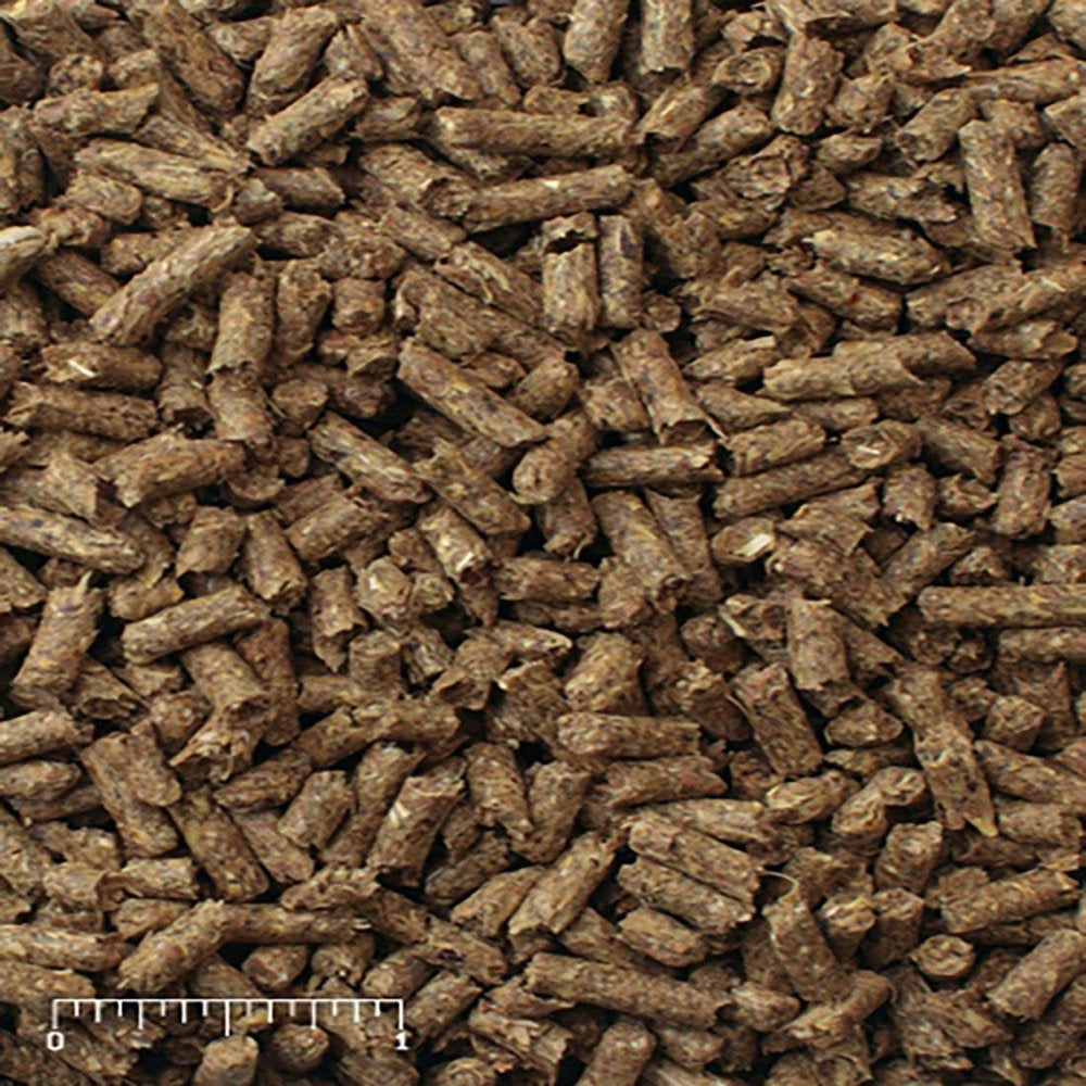 Mazuri | Nutritionally Complete Timothy Hay-Based Rabbit Food | 25 Pound (25 Lb.) Bag Animals & Pet Supplies > Pet Supplies > Small Animal Supplies > Small Animal Food Mazuri   