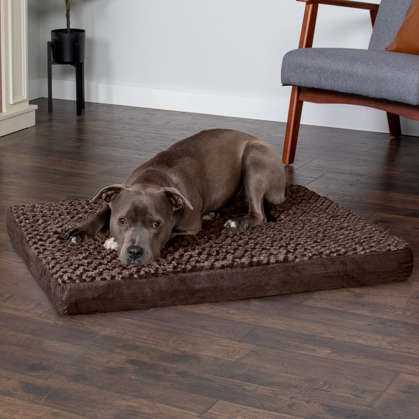 Furhaven Pet Dog Bed | Deluxe Memory Foam Ultra Plush Mattress Pet Bed for Dogs & Cats, Chocolate, Large Animals & Pet Supplies > Pet Supplies > Cat Supplies > Cat Beds FurHaven Pet   