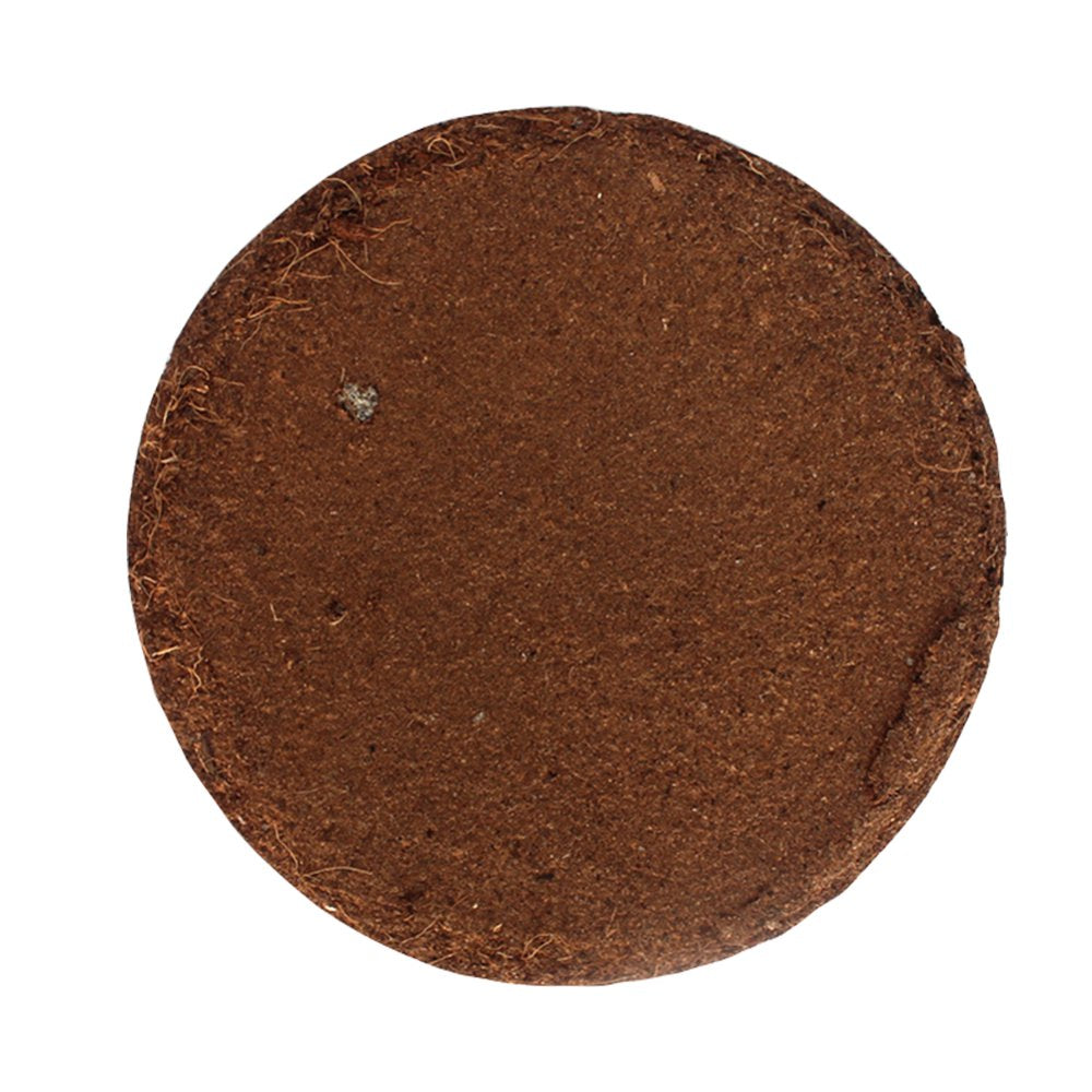 Reptile Substrate Coconut Fiber Soil Bricks Mat Turtle Lizard Bottom Supplies Animals & Pet Supplies > Pet Supplies > Reptile & Amphibian Supplies > Reptile & Amphibian Substrates Volpter   