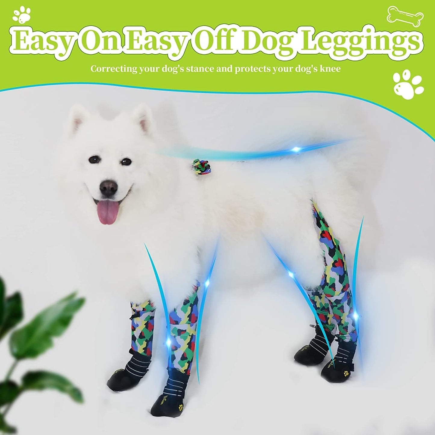 How to Choose the Best Dog Leggings
