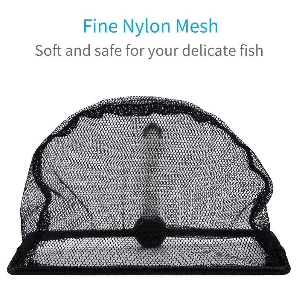 Pawfly 3 Inch Telescopic Aquarium Net Fine Mesh Small Fishnet with Extendable 9-24 Inch Long Handle Animals & Pet Supplies > Pet Supplies > Fish Supplies > Aquarium Fish Nets Pawfly   