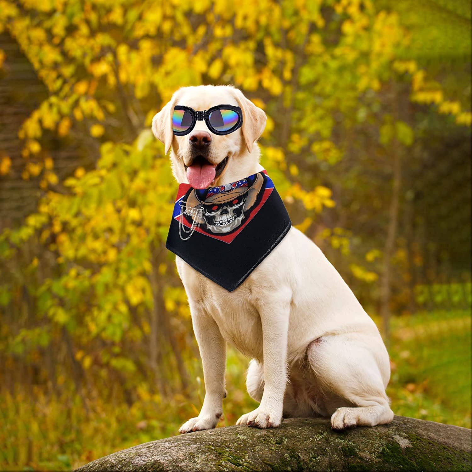 Knana Dog Goggles Sunglasses UV Protective Foldable Pet Sunglasses Adjustable Waterproof Eyewear Comes with Reversible Pet Scarf and Brooch Suitable for Medium or Large Dogs Animals & Pet Supplies > Pet Supplies > Dog Supplies > Dog Apparel Knana   