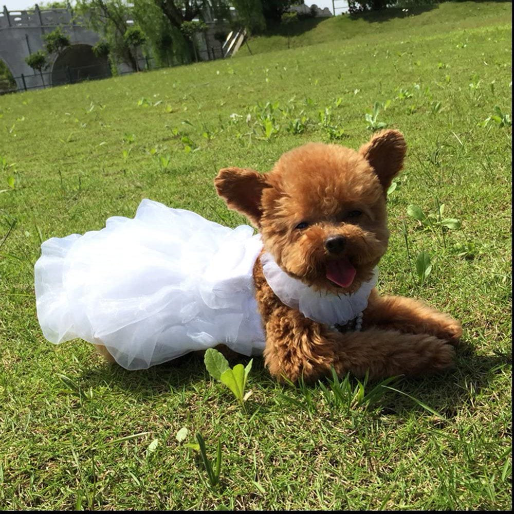 Dog Wedding Dress Bride Outfit with Pearl Necklace and Rose Pet Princess Formal Apparel for Puppy Cat Animals & Pet Supplies > Pet Supplies > Cat Supplies > Cat Apparel Acndey   