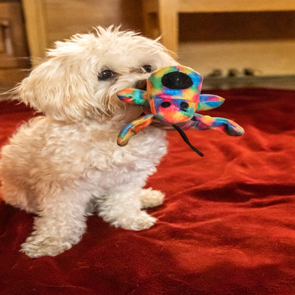 Multipet Smiling Loofa Dog Toy, Medium Shaker and Toss Toy, Tie Dye Pattern with Squeaker Inside, Size 12 Inches Animals & Pet Supplies > Pet Supplies > Dog Supplies > Dog Toys Multipet   